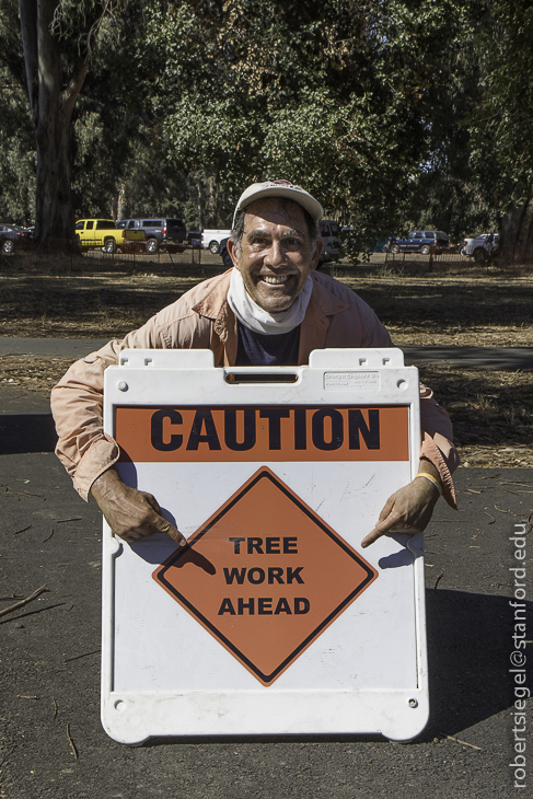 tree work ahead